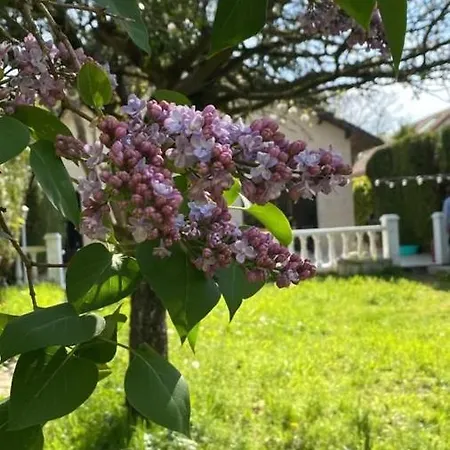 Сasa de vacaciones Maison De Campagne A 30 Min De Paris Maurepas (Yvelines)